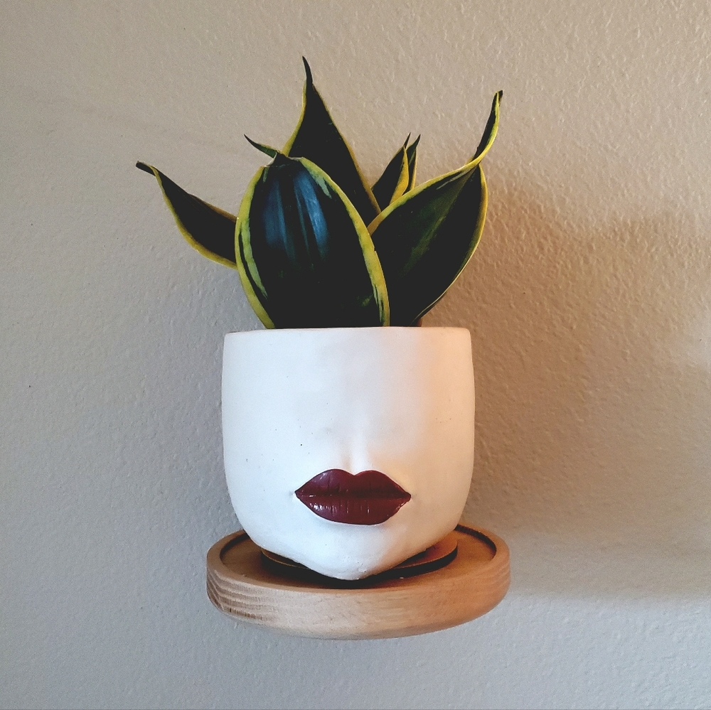 🪴 Set of 2 Handmade Wooden 6" Diameter Floating Plant Shelves or Nightstands